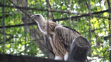 IMG_0514.JPG