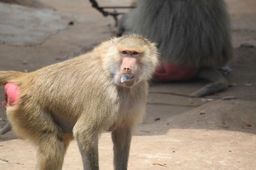 IMG_0314.JPG