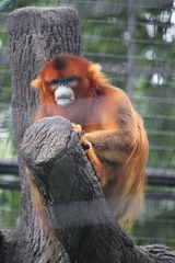 IMG_0363.JPG
