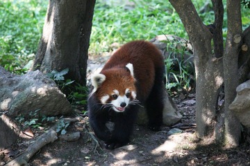 IMG_0456.JPG