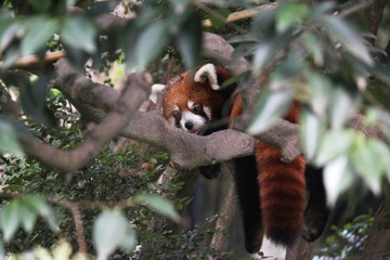 IMG_0465.JPG