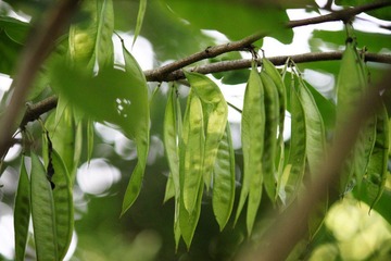 IMG_0488.JPG