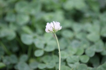 IMG_0128.JPG