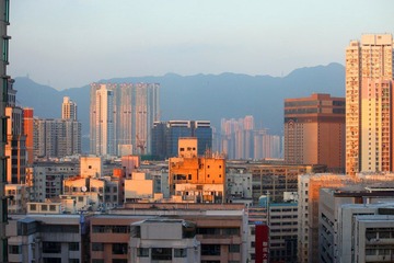 IMG_4230.jpeg