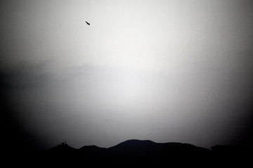 IMG_4232.jpeg