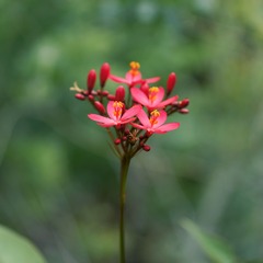 DSC05703.JPG