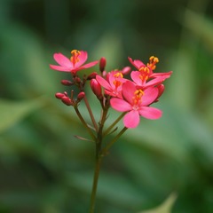 DSC05704.JPG