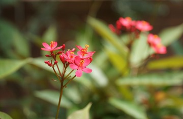 DSC05705.JPG