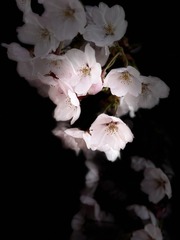 773852FB-5AAF-4431-BCB4-AD2064FBE587/L0/001
