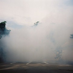 D1000010.jpg