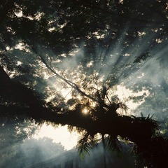 D1000005.jpg