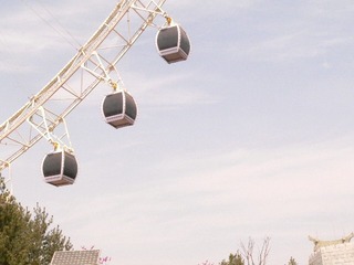 264809
