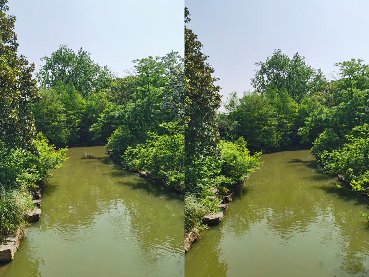 裸眼3d作品集第32期用平行眼技巧就能看到立体感的花朵哦