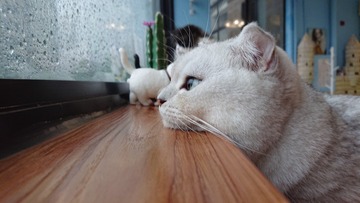 4240