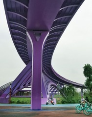 4993031