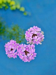 A1F3FE49-17C8-478B-8942-7878C6446749/L0/001