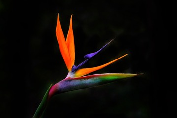 5D87FA31-6B5B-41B7-AA2F-0C1826A722B9/L0/001