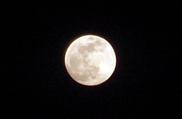 C51116A0-8107-44B7-A6D2-1DDF11498FE3/L0/001