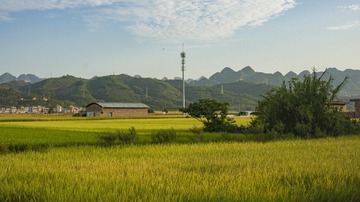 758752EE-FF2A-4ED9-B7C0-EDFE064755E8/L0/001