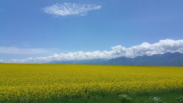 513