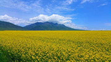 512