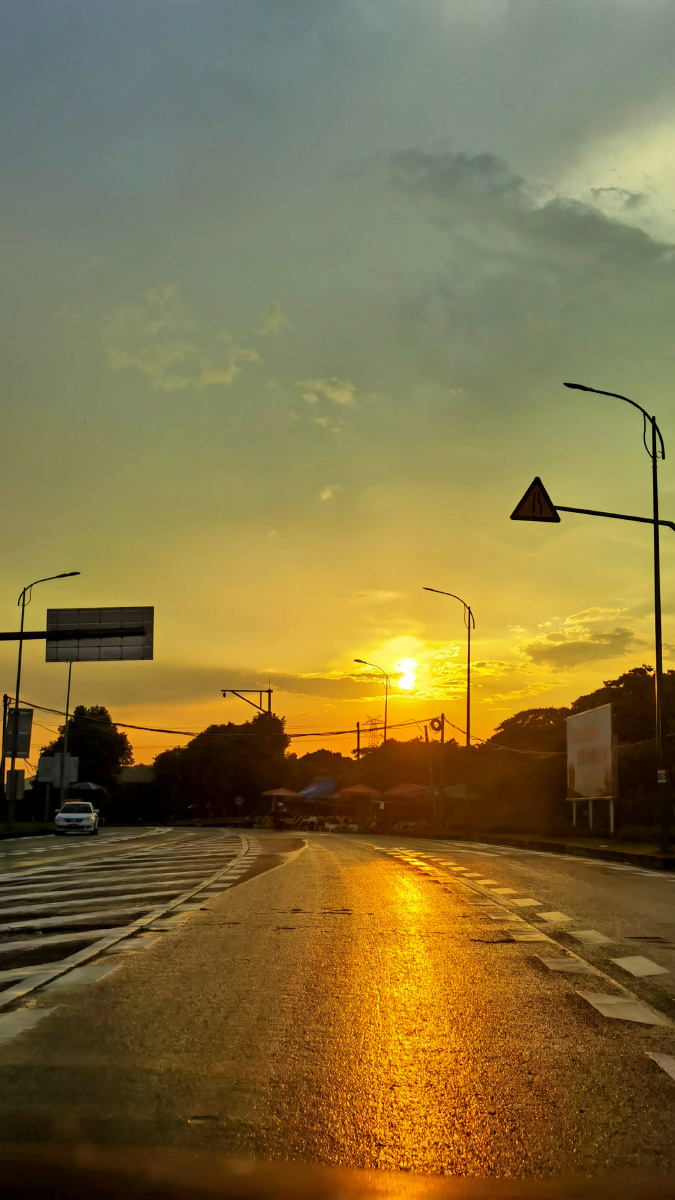 雨后夕阳映得地面都辉煌起来了
