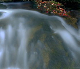 秋水