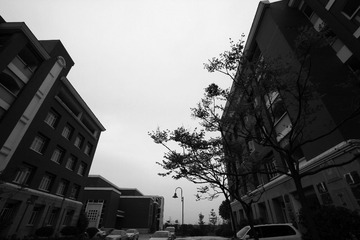IMG_3939.JPG