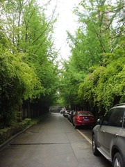 DSC05.JPG