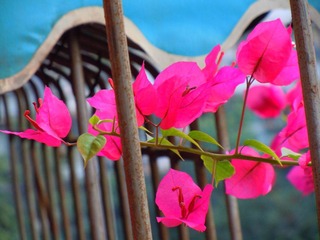 DSCN0047.JPG