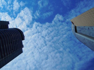 DSCN0709.JPG