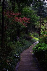 IMGP8939_调整大小.JPG