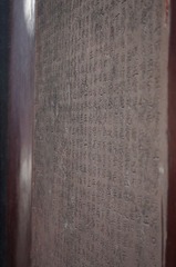 IMGP0334.JPG