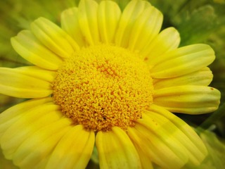 IMG_8690_副本.jpg