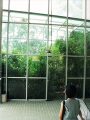 花房