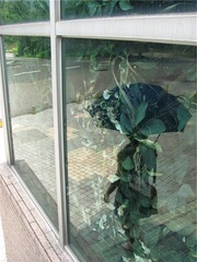 花木深