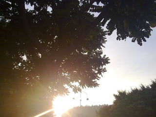 201111111158.jpg