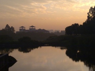 201111111164.jpg