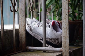IMGP4580.jpg