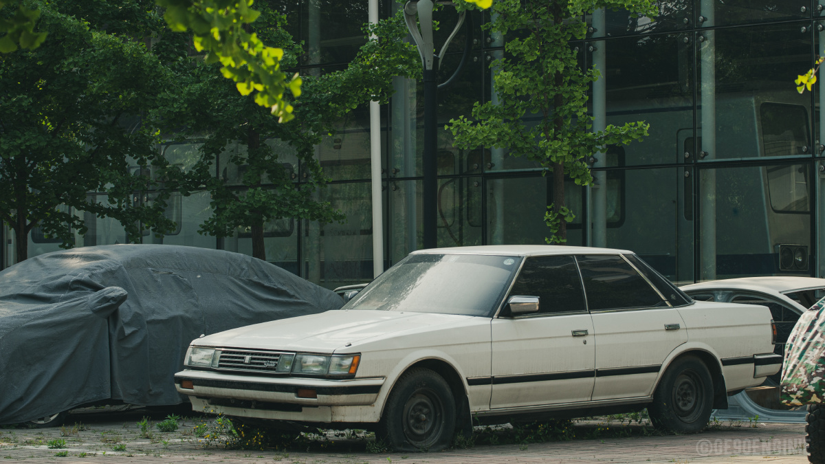 日产桂冠他们年轻时也万丈光芒