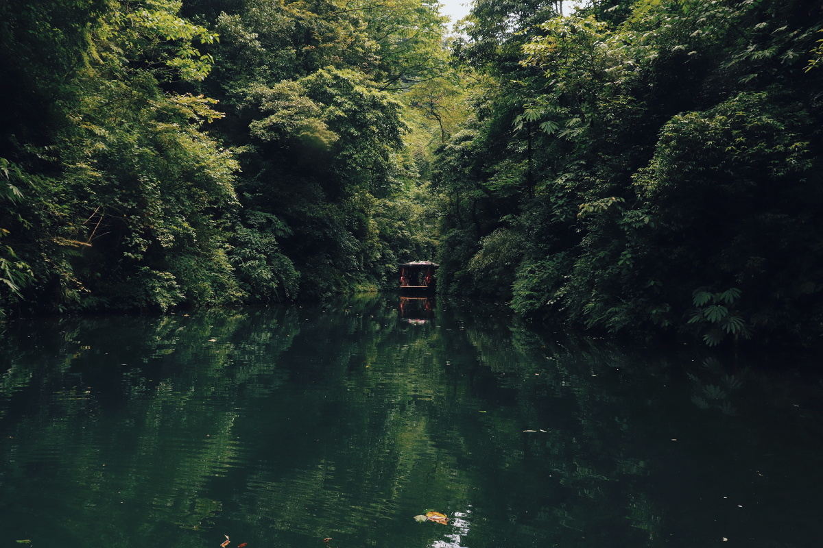 青城山的翠映湖与渡船记录美好很喜欢这种幽深与清净贪婪地拥有一襟