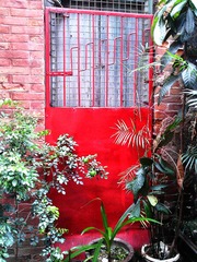 WP_001248.jpg
