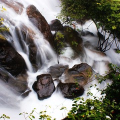 DSC09179..jpg