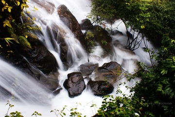 DSC09179.jpg