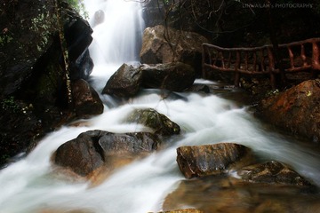 DSC09215.jpg