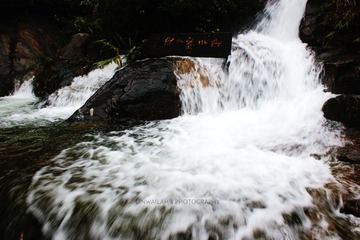 DSC09242.jpg