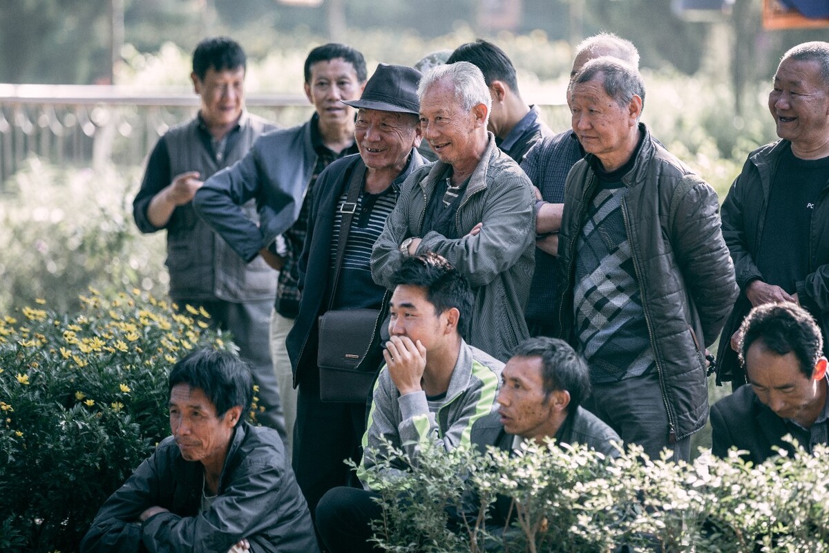 组照《画眉在蒙阳》07--“斗鸟”是最受欢迎的,大家都齐刷刷的到场津津乐道。