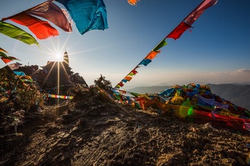 金顶幡哗