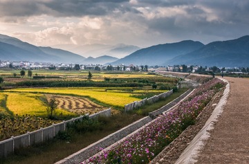 一黛一路