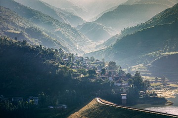 黄栎嘴 . 荫箐